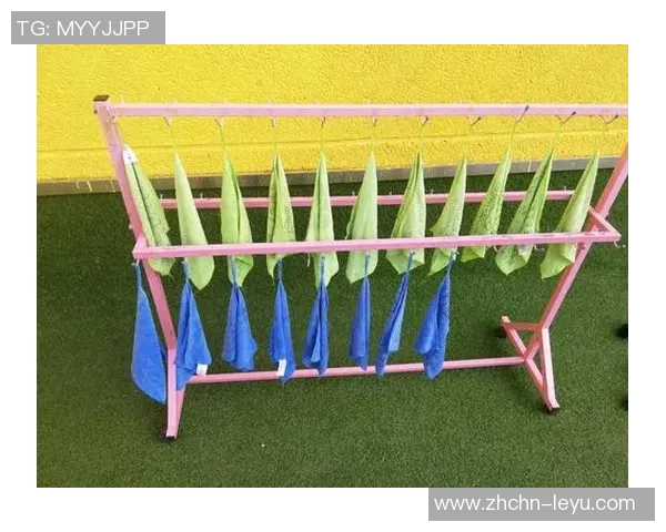 小班幼儿体育户外活动教案设计与实施探索